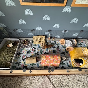 Laura added a photo of their purchase