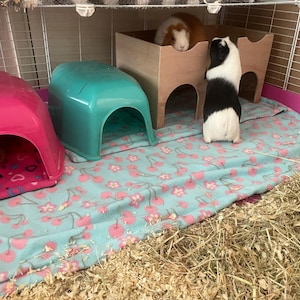 sarah added a photo of their purchase