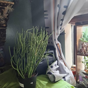 Barbara a ajouté une photo de son achat