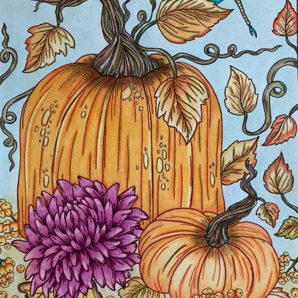 Pumpkins and Dragonfly PDF Coloring Page, Fall, Pumpkins, Flowers - Etsy