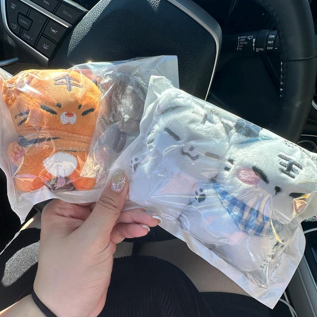 SEVENTEEN　ホシ ぬいぐるみ 10cm HOSHI 호시 Seventeen Hoshi Plushie 10cm - Etsy