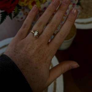 Morgan heeft een foto van zijn/haar aankoop toegevoegd