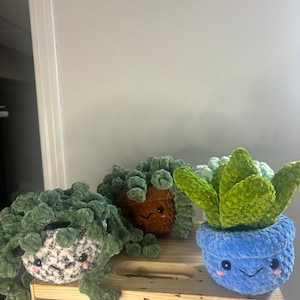 Sheri added a photo of their purchase