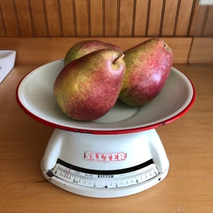 Kim added a photo of their purchase