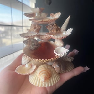 dumb added a photo of their purchase