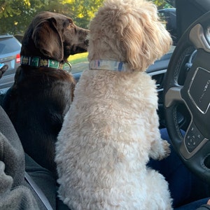 Kelly added a photo of their purchase
