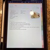5 Year Goal Plan - Fillable - Printable PDF - New Year Resolution, Goal Tracker, Change Your ...