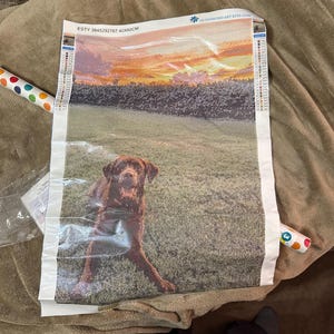 Payton ha añadido una foto de su compra