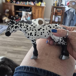 Nancy added a photo of their purchase