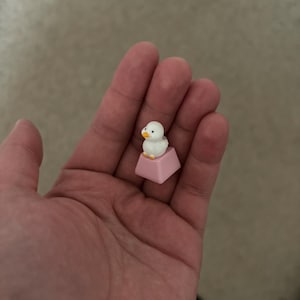 Kid hat ein Foto des gekauften Artikels hinzugefügt