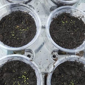 candie ha aggiunto una foto del proprio acquisto