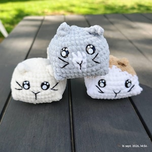 Maison added a photo of their purchase