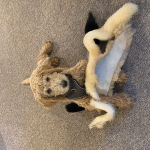 Jodi added a photo of their purchase