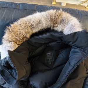 Canada goose andorra que hacer sale