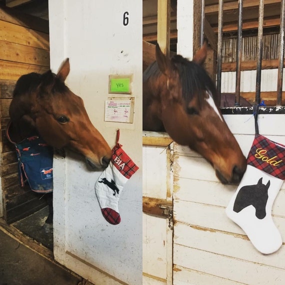 Customer photo of a pet with the Horse Christmas Stocking. Stocking Size