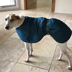 Teal Blue Fleece Lined Waterproof Coat Whippet Greyhound with | Etsy