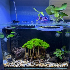 流木水槽盆栽木植物木製アクアスケープアクアスケープ盆栽流木水槽装飾