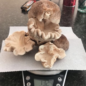 Ameerah added a photo of their purchase