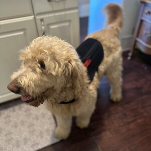 Molly added a photo of their purchase