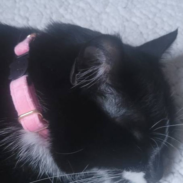 Flower Cat Collar With Detachable Sunflower Charm - Adjustable Breakaway Kitten Collar With Bell