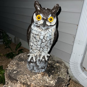 Anne added a photo of their purchase