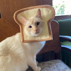 Olivia added a photo of their purchase