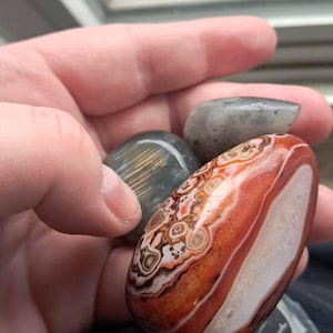 Lynzee added a photo of their purchase