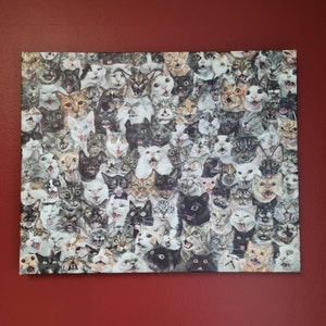 Katelyn added a photo of their purchase