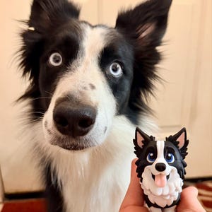 Tammy added a photo of their purchase