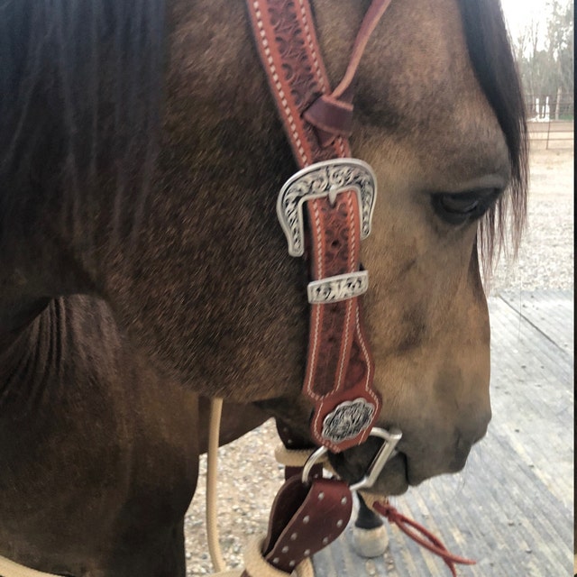 Mecate Reins & Riveted Slobber Straps 22 Colors Available With Optional  Rivets -  Norway