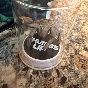 Kristin added a photo of their purchase
