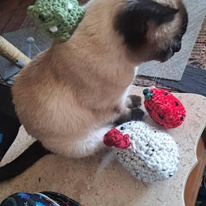 Reduviidae added a photo of their purchase