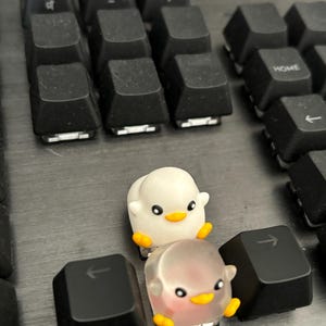 Sophie adicionaram uma foto da sua compra