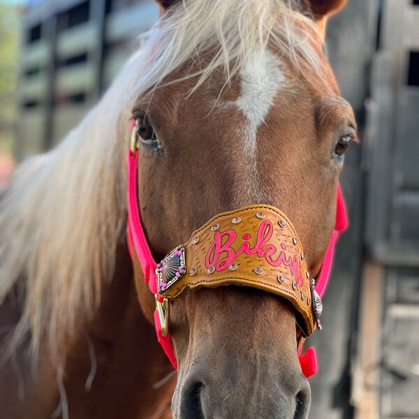 Haltères à Chevaux En Nylon Avec Strass - Bandes De Nez Bronco - 4 Motifs - Neufs