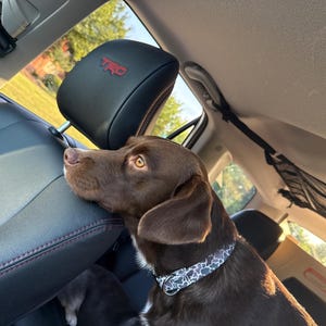 Mary added a photo of their purchase