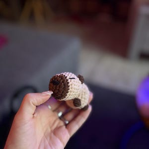 Sanne ha aggiunto una foto del proprio acquisto