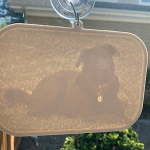 Nicole ha añadido una foto de su compra