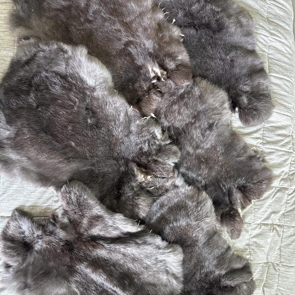 1 Pcs Natural Color Rabbit Fur Pelts - Craft Grade Assorted! - Etsy