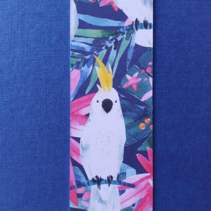 Arrr added a photo of their purchase