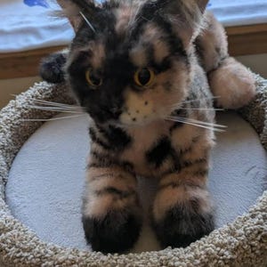 Bonnie added a photo of their purchase