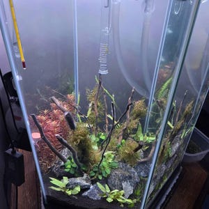Ariel added a photo of their purchase