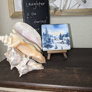Ginger added a photo of their purchase