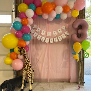Carly added a photo of their purchase