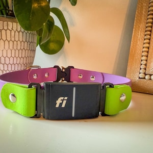 Lauryn added a photo of their purchase