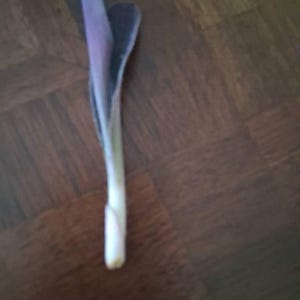 Pamela added a photo of their purchase
