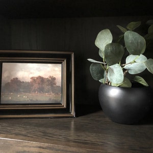 Audrey added a photo of their purchase