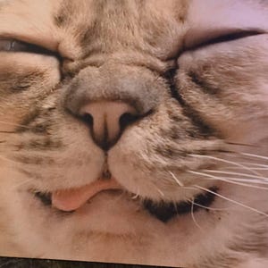 Travis hat ein Foto des gekauften Artikels hinzugefügt