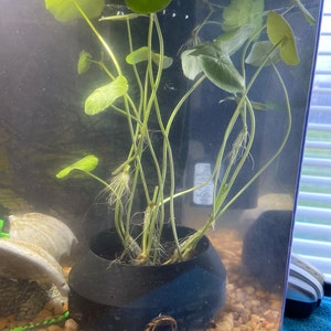 2x Blumentöpfe Für Aquarien – Dekoration Und Versteckmöglichkeiten Für Fische & Garnelen