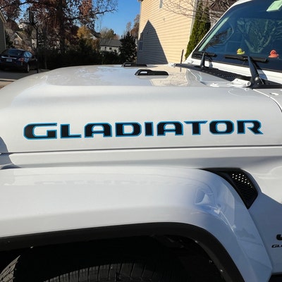 2017-2020 Ford Raptor Headlight Accents - Etsy