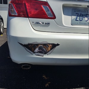 Tracy added a photo of their purchase
